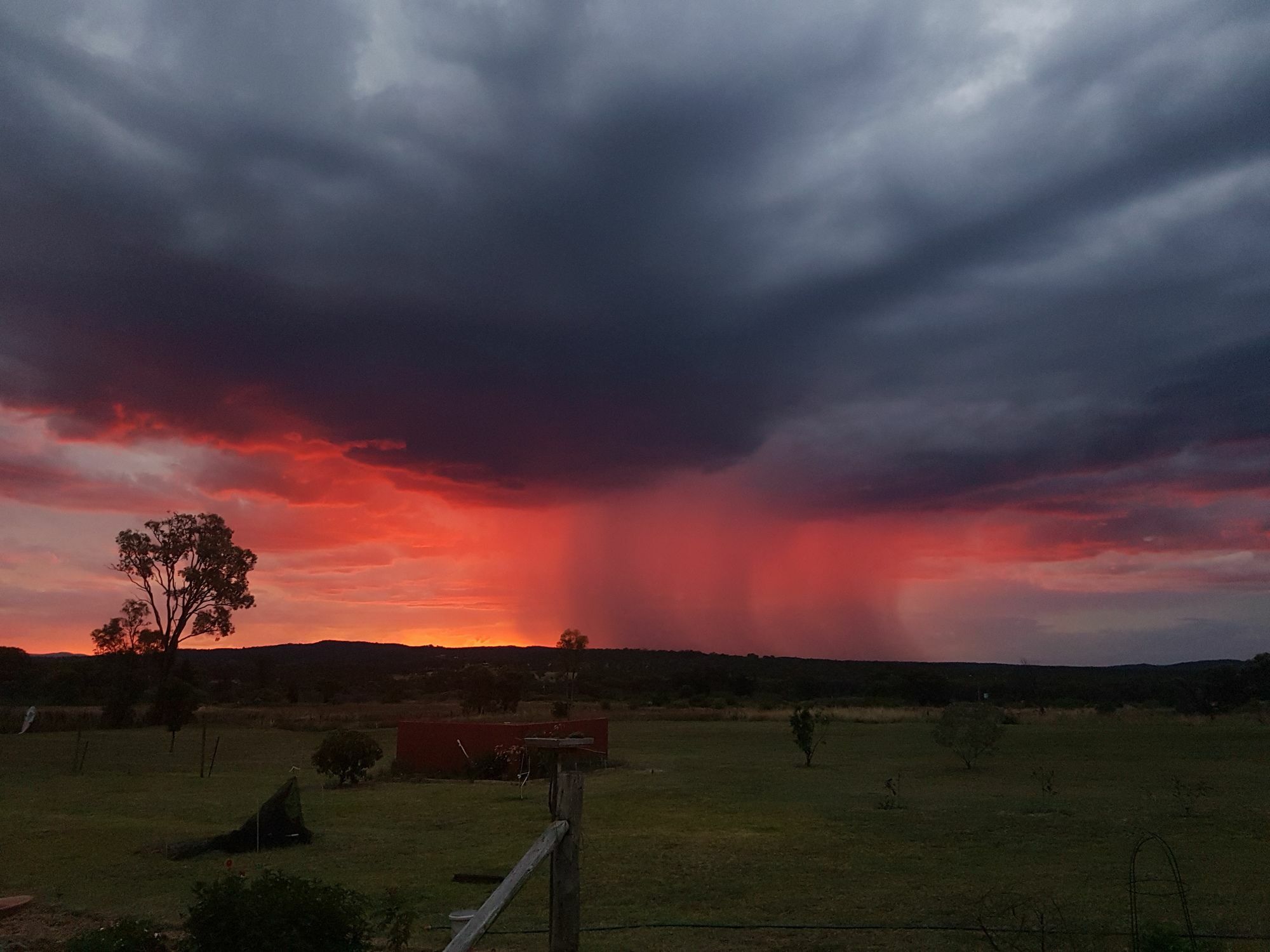 Grovely House Bed and Breakfast Stanthorpe Εξωτερικό φωτογραφία