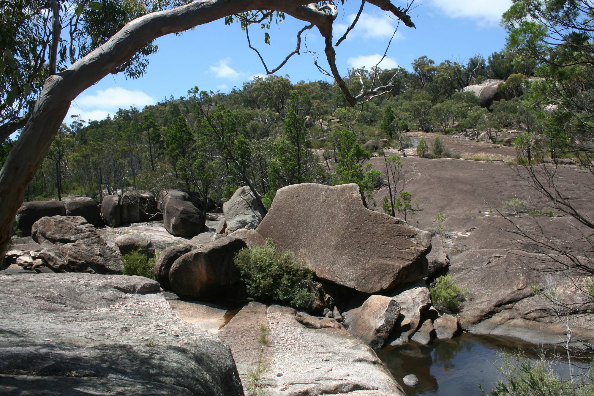 Grovely House Bed and Breakfast Stanthorpe Εξωτερικό φωτογραφία