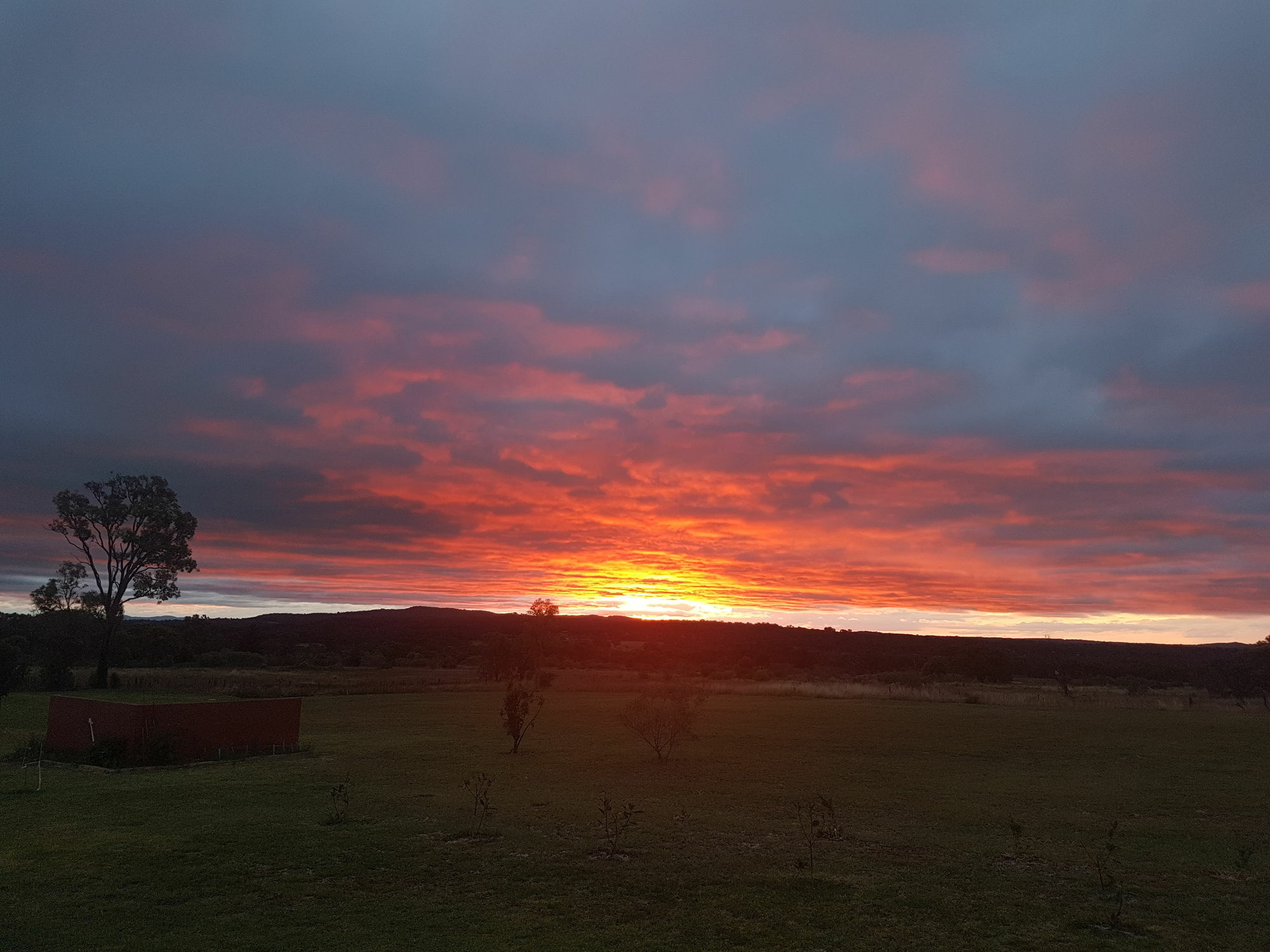 Grovely House Bed and Breakfast Stanthorpe Εξωτερικό φωτογραφία