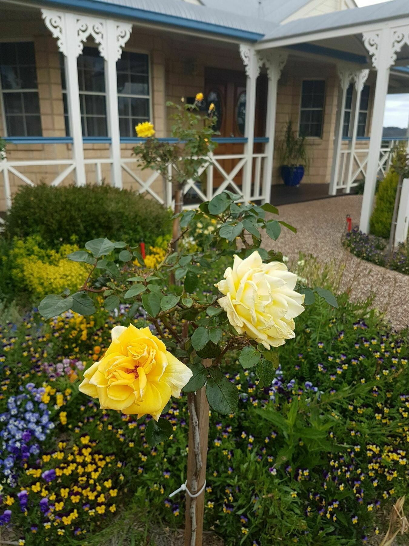 Grovely House Bed and Breakfast Stanthorpe Εξωτερικό φωτογραφία